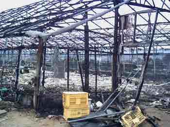 지난 2월 15일 맹동면 용촌리 정용일씨 오리농장 화재로 전소된 오리 축사현장이 폐허를 방불케 하고 있어 지역 주민들로 부터 안타까움을 사고 있다.