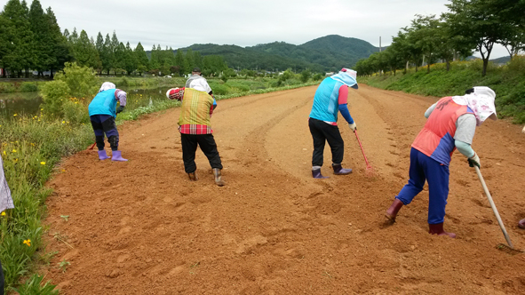 생극면새마을지도자 회원들이 응천변 꽃밭을 조성하고 있는 모습.