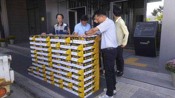 한국고용정보연구원에서 햇사레복숭아를 판매하고 있는 음성읍 관계자들.
