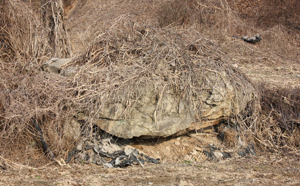 차평1리 검바우 밭두렁에 묻혀있는 고인돌 모습.