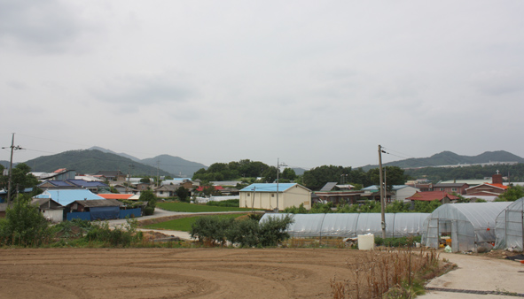 금고1리 김장골 마을 전경.