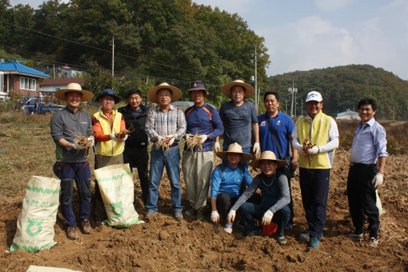 캐논코리아 김천주 대표이사(사진 왼쪽에서 세번째)와 임직원들이 초천1리 농가 도라지를 수확하며 기념촬영을 하고 있다.
