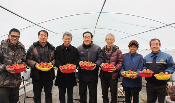'맹동딸기농원'에서 수확한 딸기를 들고 기념촬영을 하고 있는 쌍정3리 주민들.