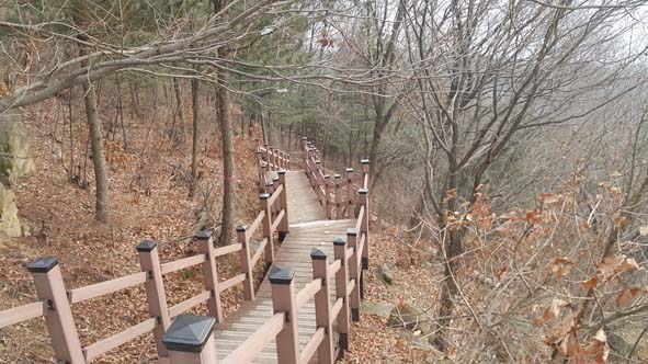 ▲음성군에서 설치한 수정산으로 오르는 계단 모습.