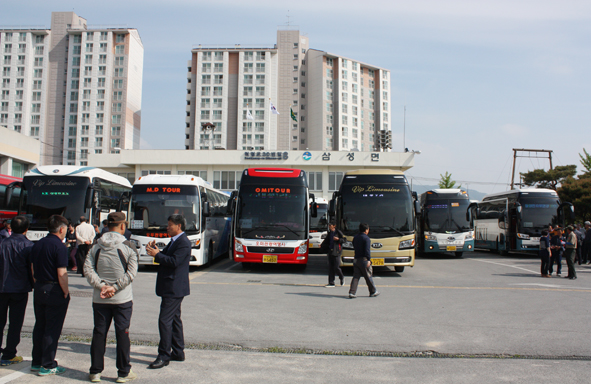 삼성면민 효도관광 출발전 삼성면사무소 광장에 버스들이 서 있는 모습.