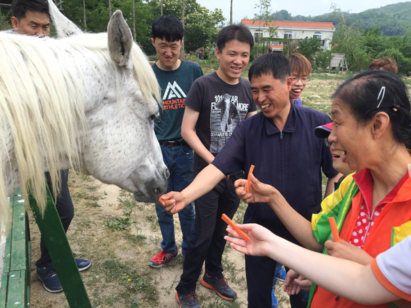 음성군장애인복지관 발달장애인들이 여주 은아목장에서 말에게 먹이를 주고 있다.