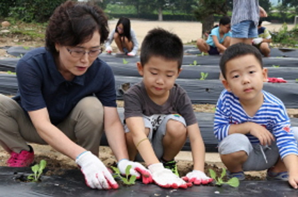 능산초 교사와 학생들이 배추를 심고 있다.
