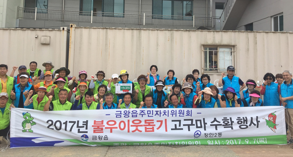 금왕읍과 서울 장안2동 주민자치위원들이 고구마를 수확하고 기념촬영을 하고 있다.