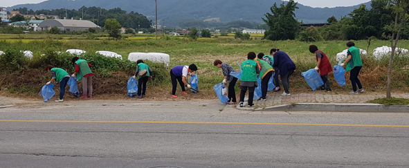 삼성면 직원과 새마을남여 회원들이 관내 도로변에서 휴지.쓰레기를 수거하고 있다.