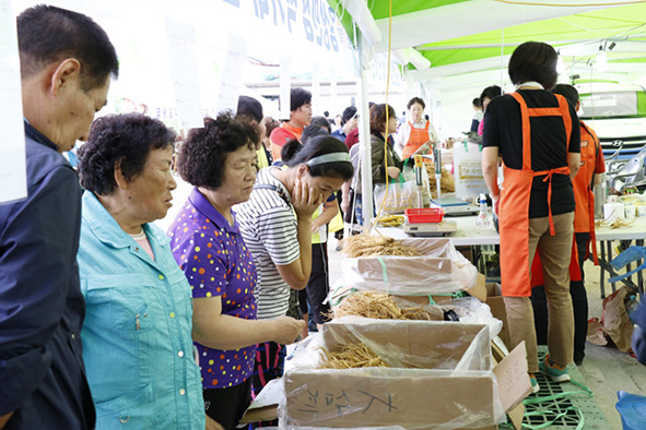 지난해 개최된 음성인삼축제에서 방문객들이 인삼을 구매하는 모습.