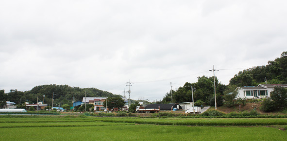 ▲내산1리 살천이 마을 풍경.