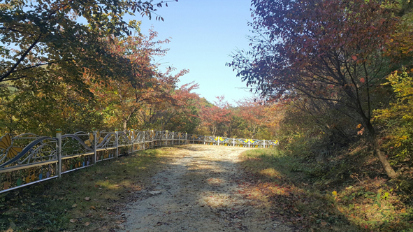 숲속동요길에 따뜻한 가을햇살이 비치고 있다.