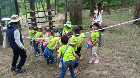 청룡초병설유치원 원아들이 숲속 체험활동에 참여하고 있다.