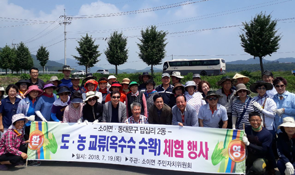 소이면주민자치위원들이 서울 답십리2동 주민들과 함께 옥수수를 수확하며 기념촬영을 하고 있다.