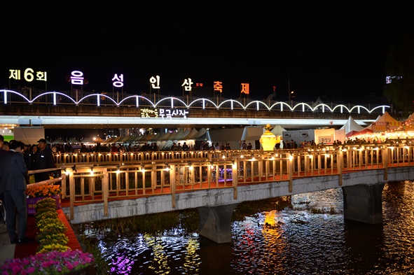 음성인삼축제장 야간 조명 모습.
