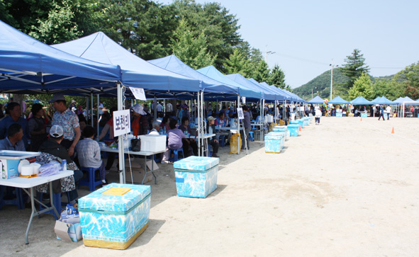 ▲원남면민체육대회에 설치된 각 마을 텐트에서 주민들이 대화를 나누고 있다.