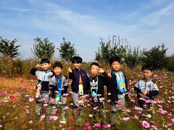 동성유치원 어린이들이 코스모스 밭에서 기념촬영을 하고 있다.