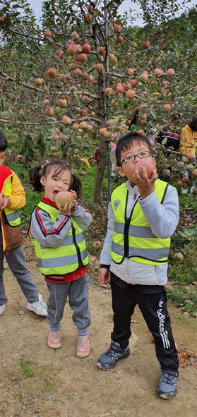 오갑초병설유치원 어린이들이 사과를 따며 카메라 앞에서 먹는 시늉을 하고 있다.