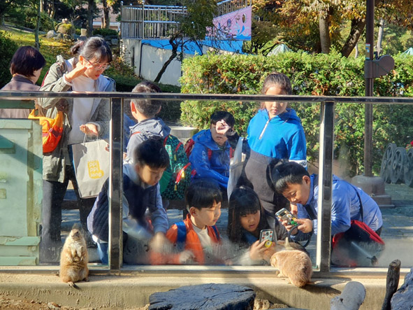 청주동물원을 방문해 동물을 관찰하고 있는 능산초 어린이들 모습.