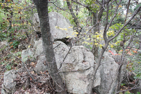 ▲소속리산에 있는 암석 모습.