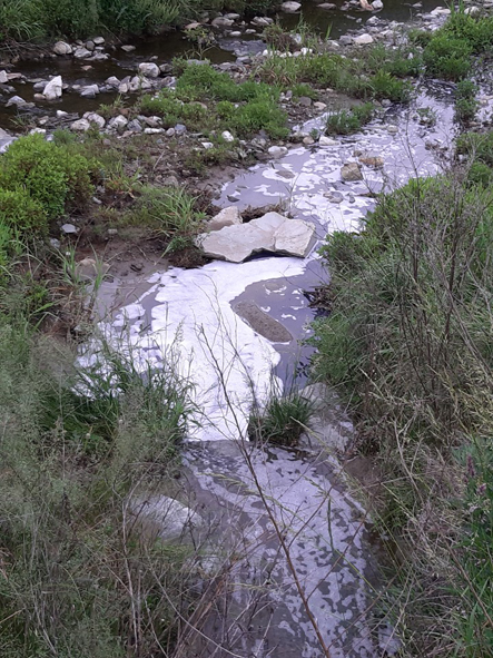 6월 2일 오전 9시경, 흰 거품과 폐수가 흐르고 있는 생극 오생리 하천 모습.
