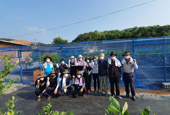 음성읍행정복지센터 직원들이 동음리 농가에서 블루베리를 따며 기념촬영을 하고 있다.