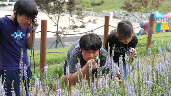 부윤초 어린이들이 학교숲에서 식물을 관찰하고 있다.