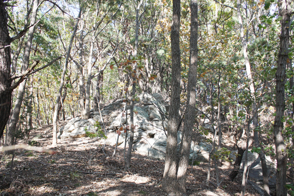 ▲부용산 등산로에 있는 바위무덤 모습.