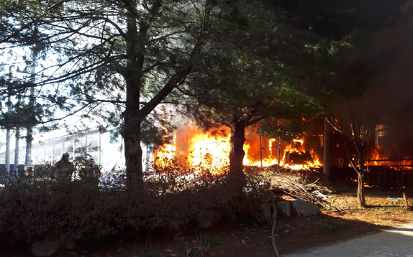 삼성 용성리 축사에서 발생한 화재 모습.
