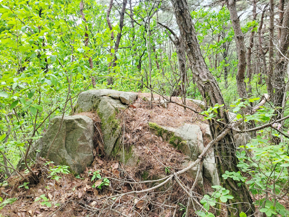 ▲국사산(봉) 등산로에 있는 바위 모습.