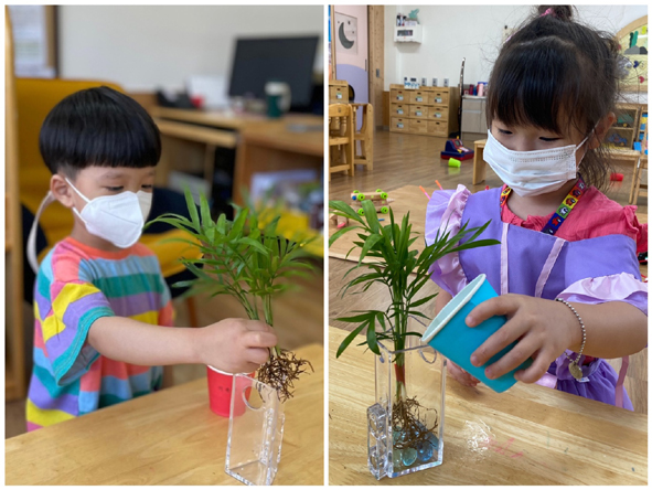 동성유치원 어린이들이 수경식물을 가꾸고 있다.