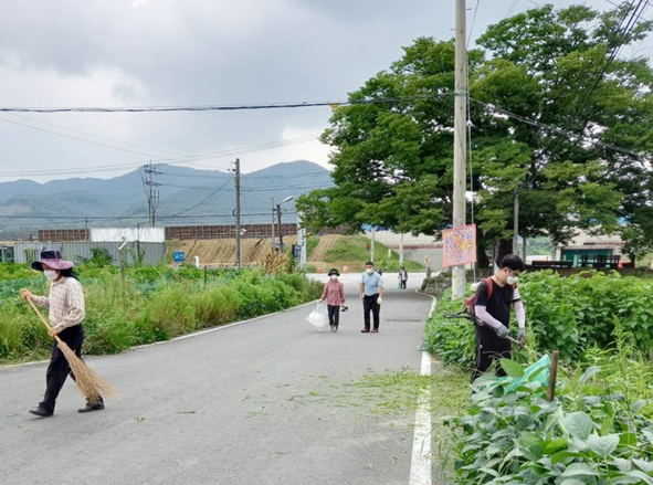 마을 환경정화 활동을 실시하고 있는 원남 상당2리 주민들 모습.