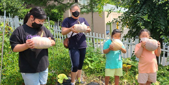 복된해피스쿨지역아동센터 아동들이 텃밭에서 호박을 수확하고 있다.