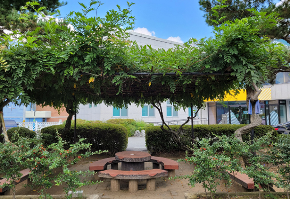 ▲금왕교육도서관 외부 정원 모습.