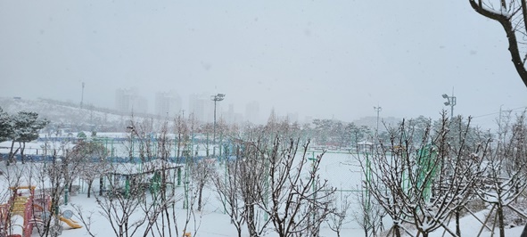 설날 아침인 2월 1일 오전 8시경, 금왕생활체육공원에 눈이 내리고 있다.