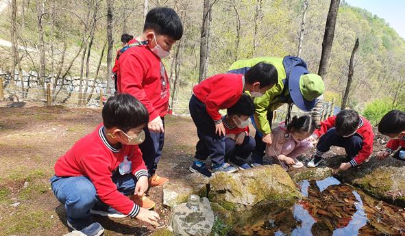 금왕유치원 어린이들이 큰산저생식물원 체험 프로그램에 참여하고 있다.