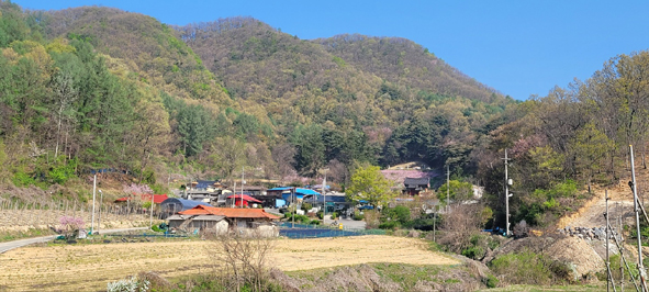 음성읍 초천1리 뱅거리마을 전경.