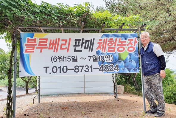 곽태규(62) 음성군이장협의회장이 여름철 슈퍼푸드 ‘닥터블루베리 체험농장’의 문을 연다.