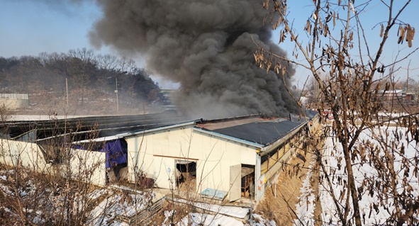 삼성 상곡리 개 사육농장에서 발생한 화재 모습.