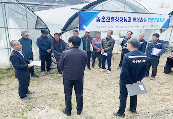 수박재배 농가들이 농촌진흥청 전문가의 현장 컨설팅을 받고 있다.