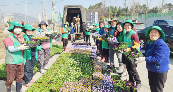 소이면 새마을남녀지도자협의회원들이 분주한 모습으로 꽃동산 조성준비를 하고 있다.