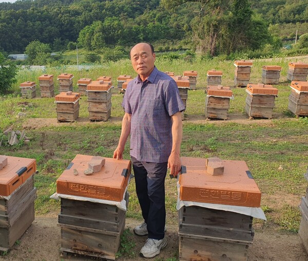반화병 충북양봉연구회장이 자신의 봉장에서 꿀벌을 돌보고 있다.