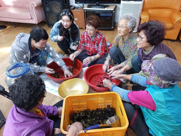 KBS 촬영팀과 함께 주민들이 마을회관에 모여 머루주를 담고 있다. 